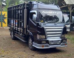 Truck Canter Mania Wallpaper H plakat