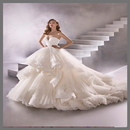 APK Wedding Dress