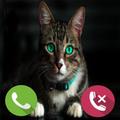 Fake Call Cat Prank