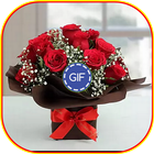 Floral Images GIF 图标