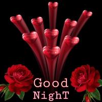 HOT GOOD NIGHT LOVE GIF تصوير الشاشة 2