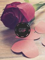 Flowers And Roses Animated GIF الملصق
