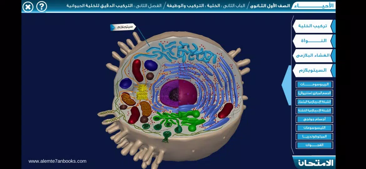 animal cell 3d