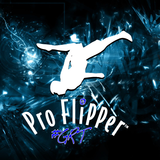 GRT Pro Flipper Demo APK