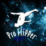 GRT Pro Flipper