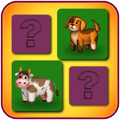 Find Pair: Animals