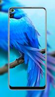 Galaxy M Punch Hole Wallpaper पोस्टर