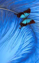 Скачать Синий Живые Обои APK