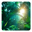 Jungle Live Wallpaper APK