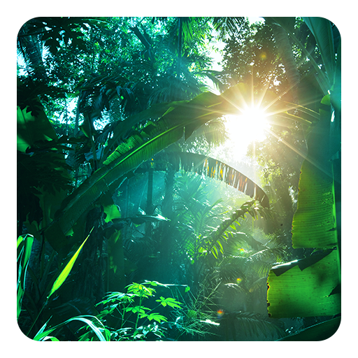 Jungle Live Wallpaper APK  for Android – Download Jungle Live Wallpaper  APK Latest Version from 