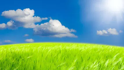 Скачать Блаженство природa Живые Обои APK