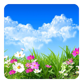 Flower Spring Live Wallpaper
