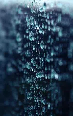 Rain Live Wallpaper APK download