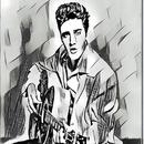 Elvis Presley Music Mp3 APK