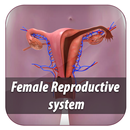 female reproductive system app APK