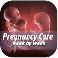 Pregnancy Care Week by Week