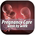 Pregnancy Care Week by Week-icoon