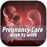 Pregnancy Care Week by Week-icoon