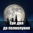 Три дня до полнолуния