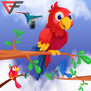 Bird Sort – Color Puzzle Game APK