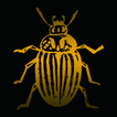 Колорадский жук. Приключения насекомых