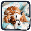 Puzzle Anjing Lucu APK