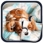 Puzzle de chien mignon icône