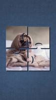 Puzzle de chien mignon Affiche