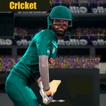 Real Cricket GO Paradox