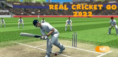Real Cricket GO Paradox Poster