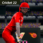 Real cricket 2022 Riddle アイコン