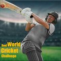 ”Real T20 cricket 2022 riddle
