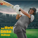 Real T20 cricket 2022 riddle APK