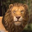 Lion game thú vật Wildlife sim
