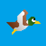 Duck Shoot! aplikacja
