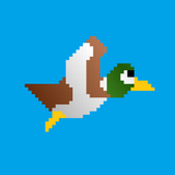 Duck Shoot! APK