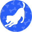 Como cuidar a un perro