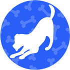 Como cuidar a un perro icon