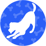 Como cuidar a un perro icon