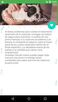 Como cuidar a un perro screenshot 1