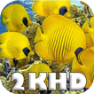 Quad HD 2k animals puzzle