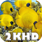 Animal Puzzle 2k ícone