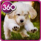 VR COOL Dog Puppies : 360 Entertainment Zeichen