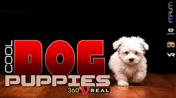 VR COOL Dog Puppies : 360 Entertainment Affiche