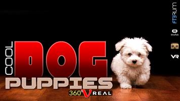 VR COOL Dog Puppies : 360 Entertainment poster