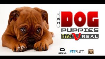 VR COOL Dog Puppies : 360 Entertainment imagem de tela 1