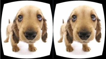 GUAY Perritos del perro : 360 Realidad virtual captura de pantalla 2