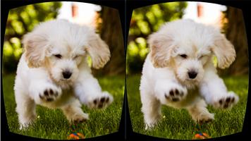VR COOL Dog Puppies : 360 Entertainment imagem de tela 3