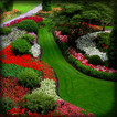 Garden Live Wallpaper