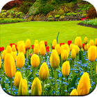 Garden wallpaper ikona